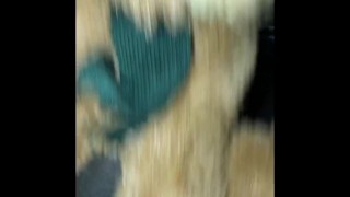 Putting bear back into bareback