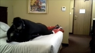 red soccer socks has fun with his rubber orca enemy