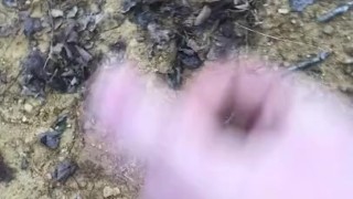 Morning cum