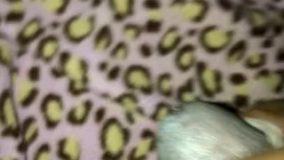 Playing with cock (before I was caught)