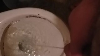 Amateur Male Pisses in Toilet