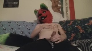 Fox Fun