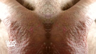 Big Dick Closeup Macro