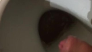 Mega pisciata