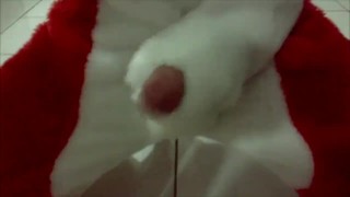 Furry fox plays and cum