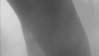 Dick Swingin In The Shower *Bored*