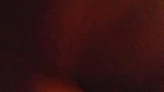 Bear Bottom takes 10inch toy