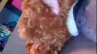 BBW pillow humping *sorry teddy*