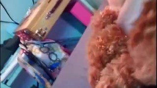 BBW pillow humping *sorry teddy*