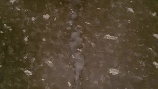 Kitchen cum after edging