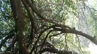 Me Getting Naked in the Park