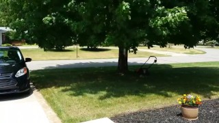 Mowing the lawn in short shorts