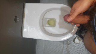 Pose on public toilet