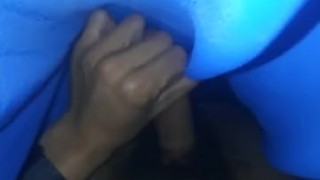 Penis