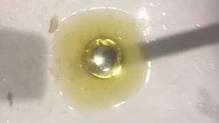 Pissing Rock Hard Into Aussie Sink