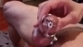 Urethra cum