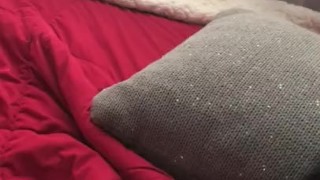 Going through my wifes panties while shes at work