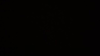 Kitchen Pest Crush 3