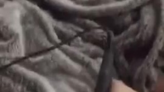Vibing my clit loud dirty nasty moaning for daddy