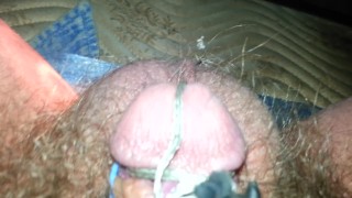 Painful electro torture my tiny penis