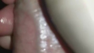 Another CUM FEST, feat. Big Daddy Dik Dan and Molly Cha-Ching
