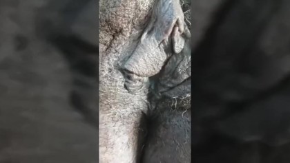 46 Yrs Old Skinny Pussy Granny Legs and Ass Upclose (ava ...
