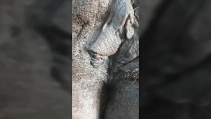 Wrinkled Ebony Skinny Pussy - 46 Yrs Old Skinny Pussy Granny Legs and Ass Upclose (ava ...