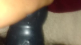 dildo de lobo domina a nutria cachonda