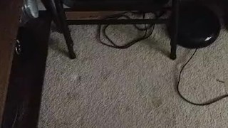 2 nuts