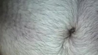 Standing midnight stroke & shoot