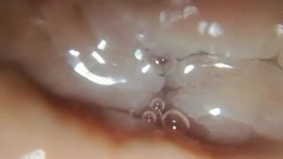 precum/cum zoom