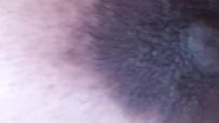 my tits