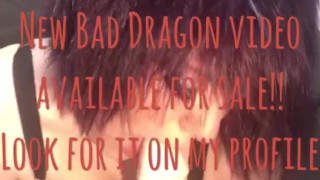 Bad Dragon - Nova the Breeder