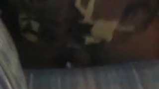 Pussy in motion