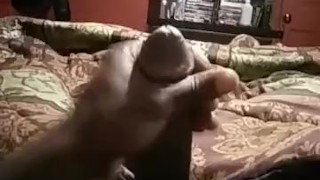 Cumshot