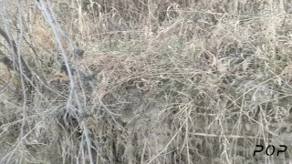 Naughty in latex outside - Miss Perversion masturbating & sucking dick on a trail in the forest