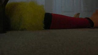 Zentai Man VS Chicken