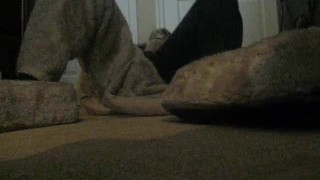 The Cougar is Alive!