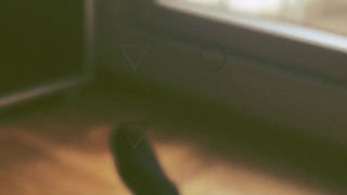Big white dick in skinny asian girls ass