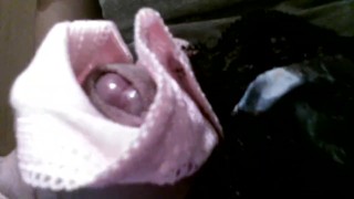 Cum in my sister in law's panties