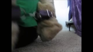 Delay Of Game Preview