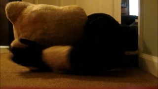 The Cougar Strikes Preview