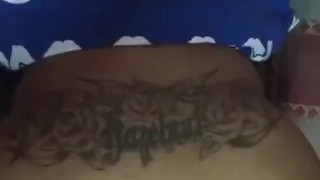 Japanese Hazelnutxxx 