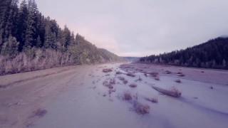 In the Wilderness...