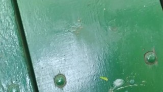 Jerking off in the park