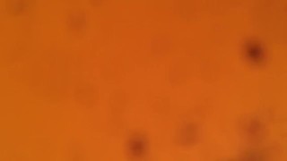 Fucking my brother girl while he at work