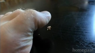 A New Toy - PREVIEW GAY MACROPHILIA