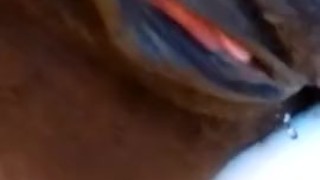 Ebony Squirt, Squirt, Squirt