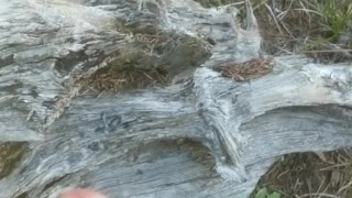 Mountain Cumshot