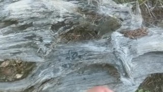 Mountain Cumshot